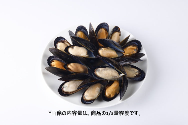 殻付きムール貝(ボイル)