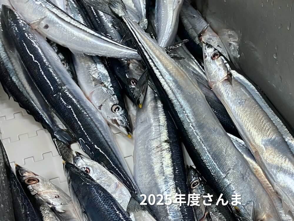 さんま水煮3缶｜北海道産フレッシュ原料使用 – マルハニチロ ダイレクト