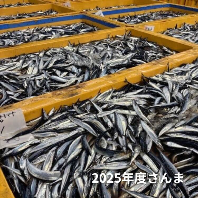 さんま水煮3缶｜北海道産フレッシュ原料使用 – マルハニチロ ダイレクト