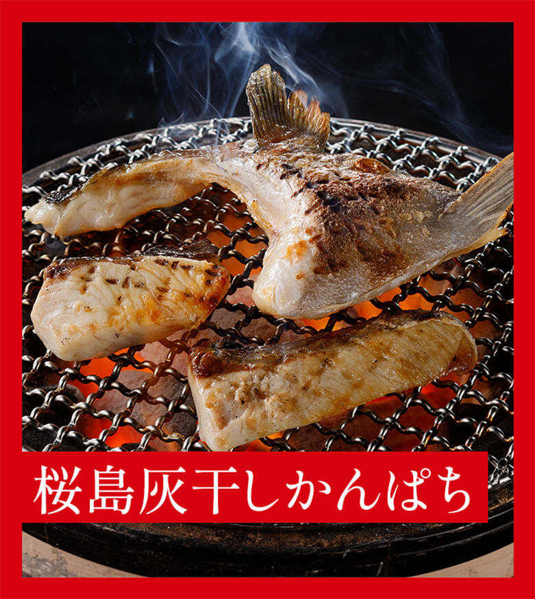 桜島灰干しかんぱち – マルハニチロ ダイレクト